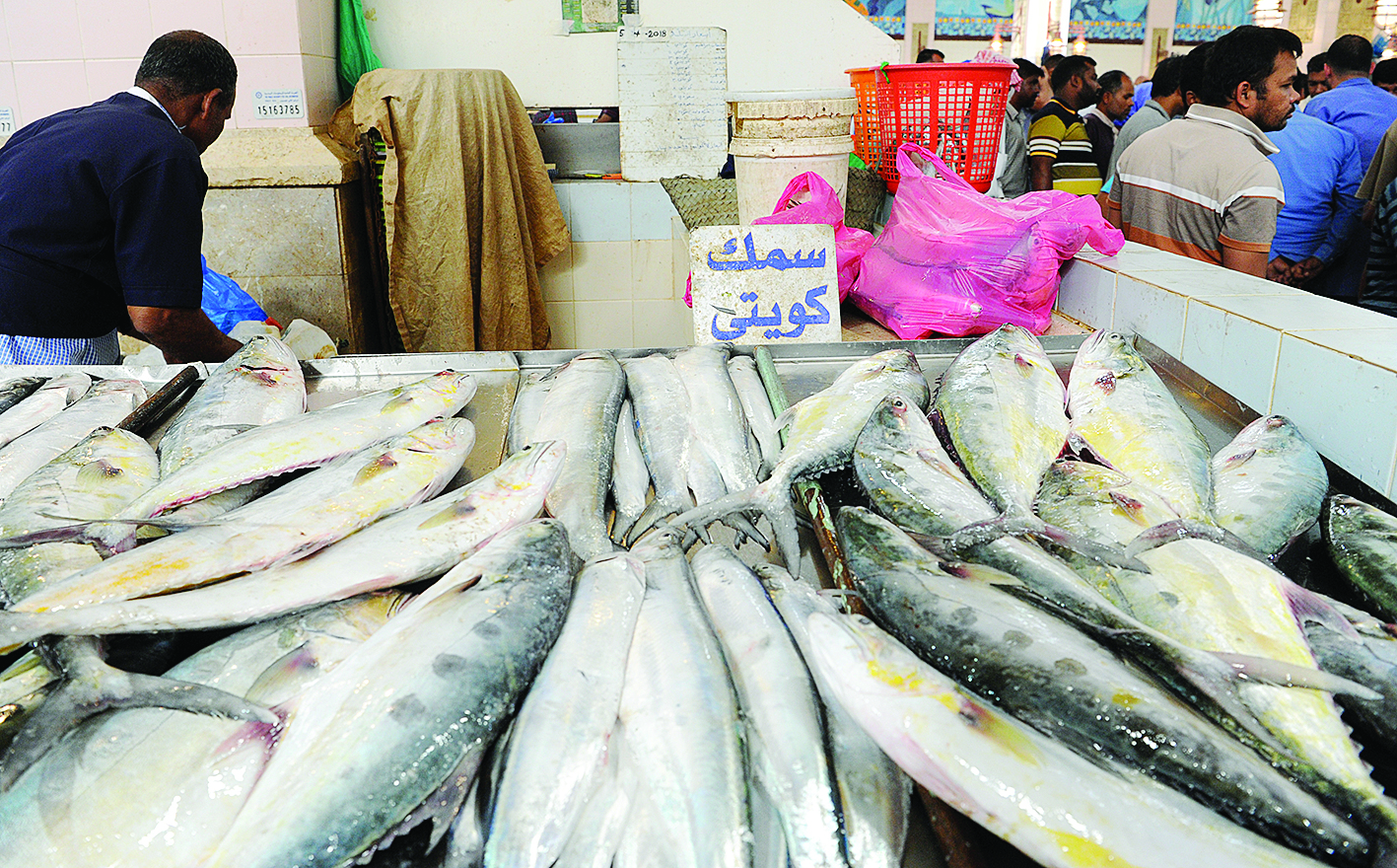 u0627u0644u0633u0645u0643 u0627u0644u0643u0648u064au062au064a u0623u063au0644u0649