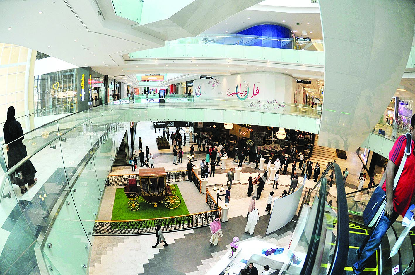 ... كل ما تريد 