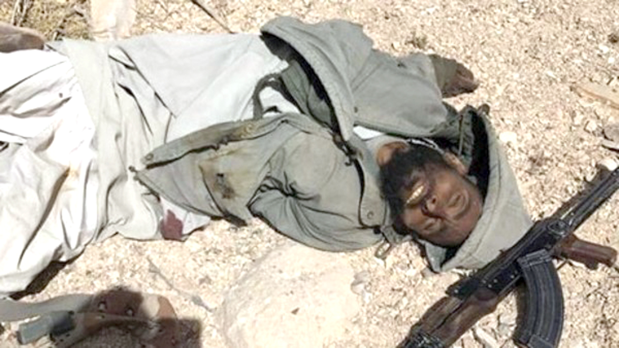 u062cu062bu0629 u0623u0645u064au0631 u00abu062fu0627u0639u0634u00bb u0646u0627u0635u0631 u0623u0628u0648 u0632u0642u0648u0644 