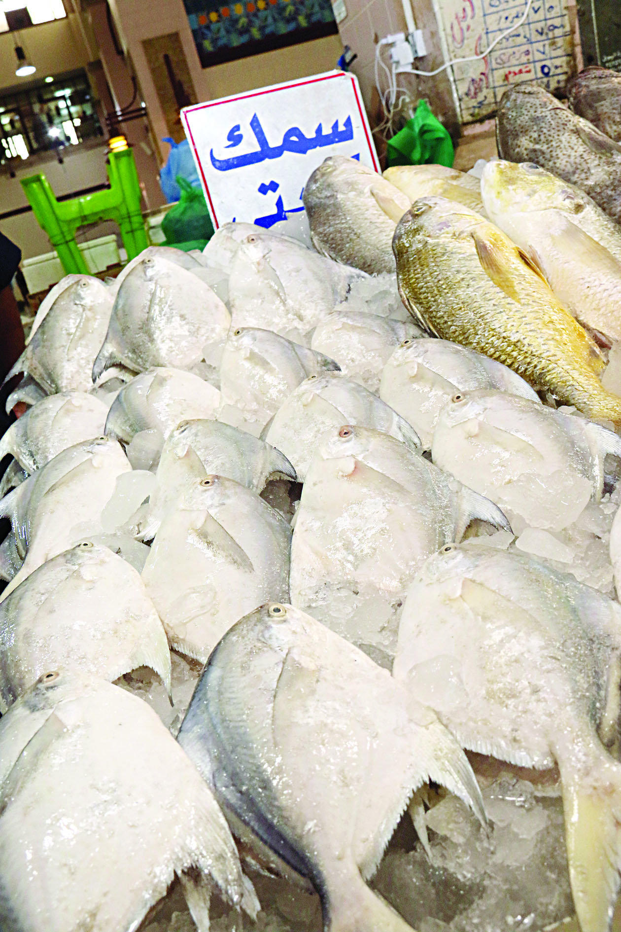 كميات قليلة من الزبيدي الكويتي