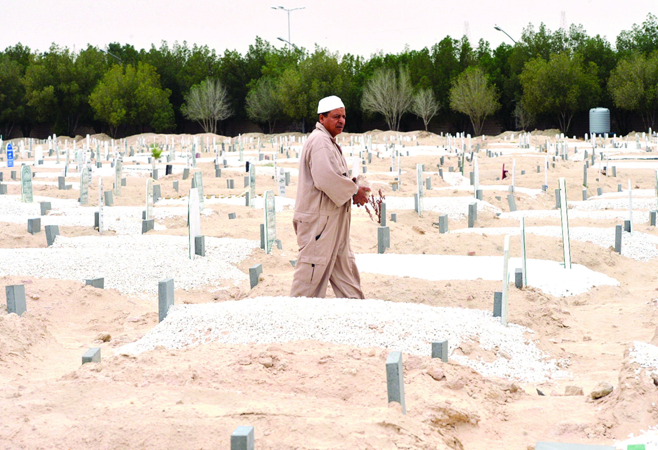 البحث عن الأسرار المدفونة في حياة حفاري القبور	(تصوير نايف العقلة)