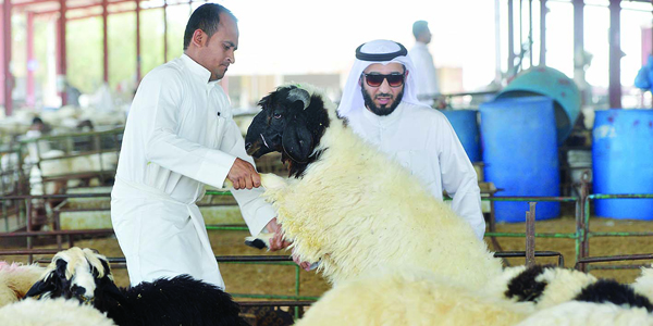 u0641u062du0635 u0642u0628u0644 u0627u0644u0634u0631u0627u0621 t(u062au0635u0648u064au0631 u0646u0627u064au0641 u0627u0644u0639u0642u0644u0629)