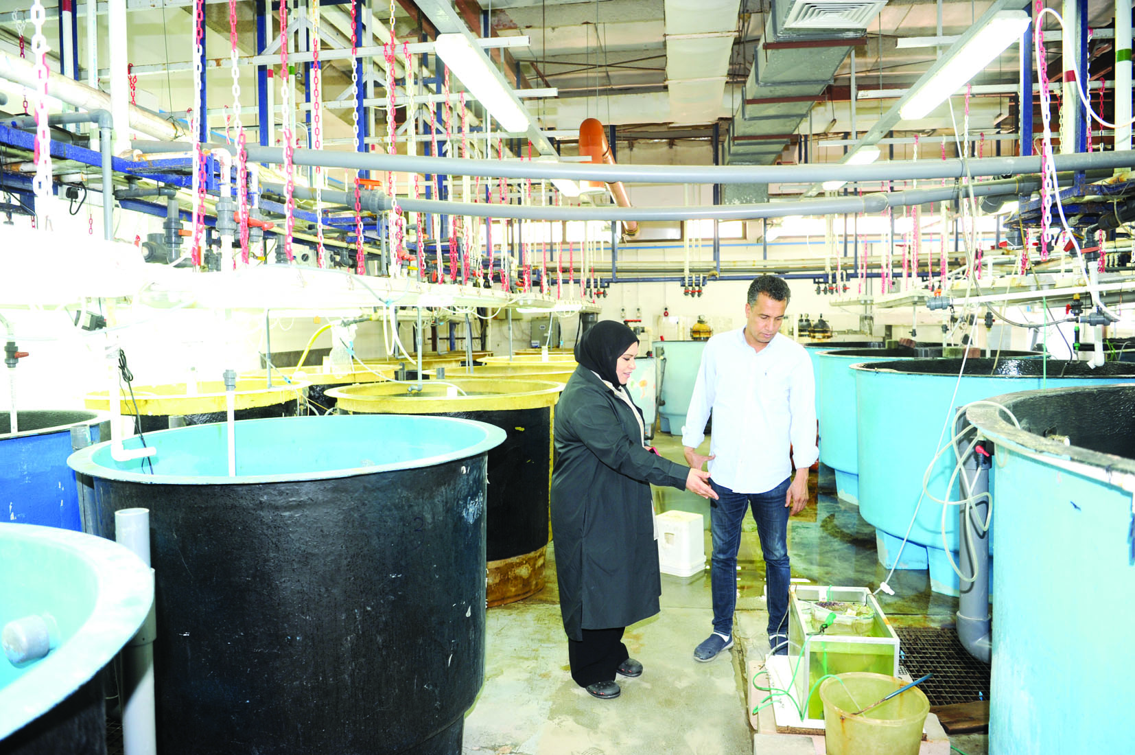 الياقوت تشرح ل»الراي» العمل في المختبرات والأحواض السمكية