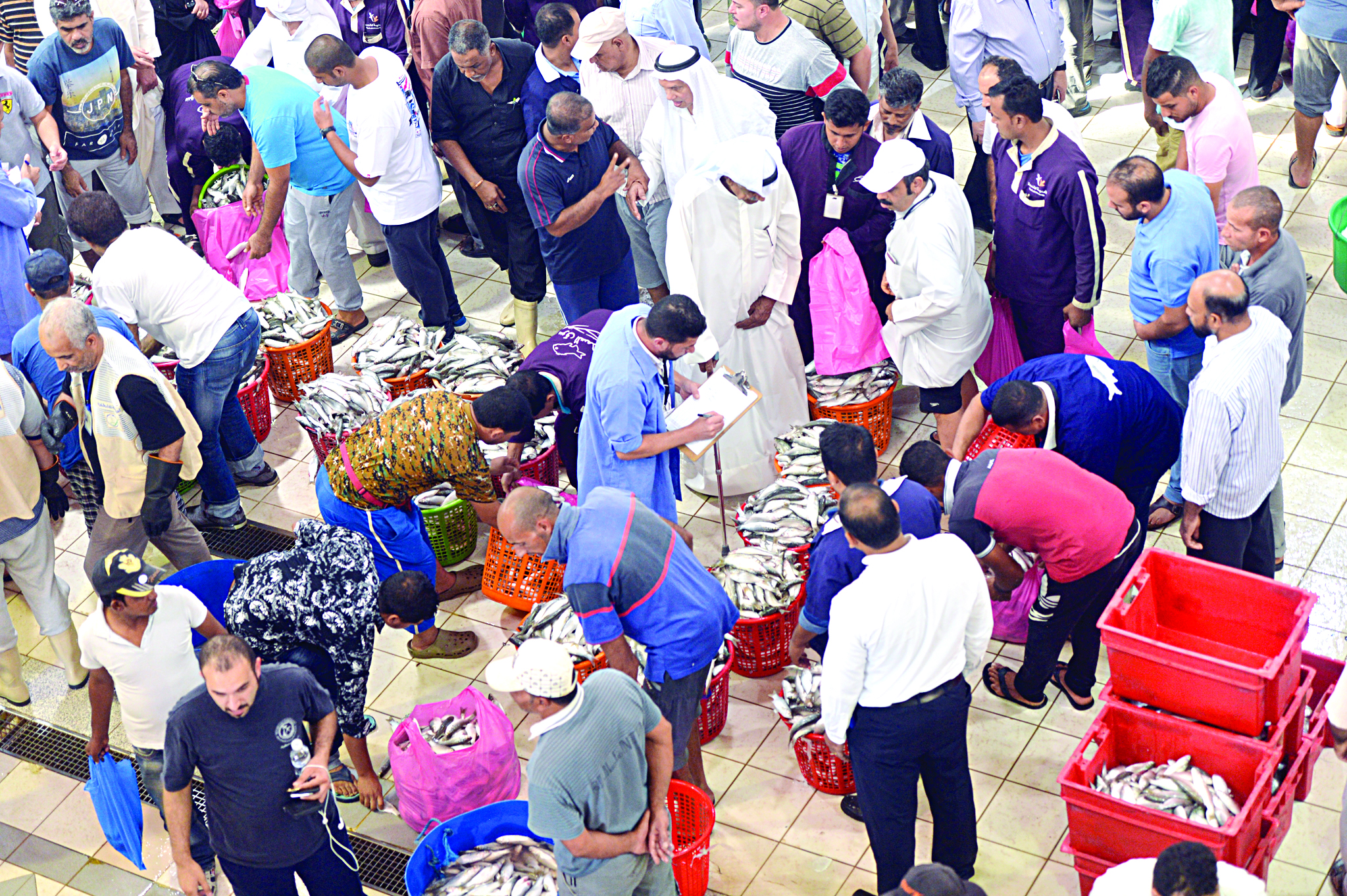 u0633u0644u0627u0644 u0627u0644u0633u0645u0643 u0641u064a u0627u0644u0633u0648u0642 u0623u0645u0633  t  (u062au0635u0648u064au0631 u0646u0627u064au0641 u0627u0644u0639u0642u0644u0629) 