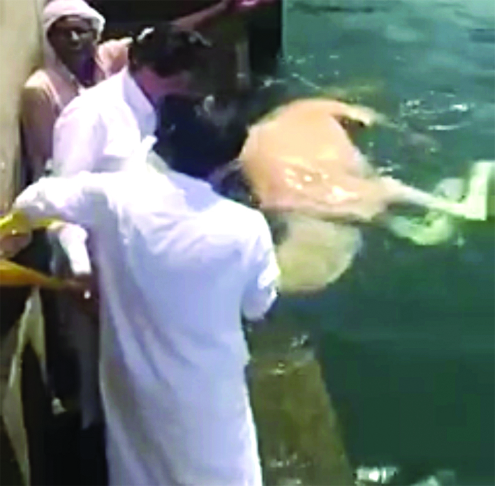 u062cu0627u0646u0628 u0645u0646 u0639u0645u0644u064au0629 u0627u0644u0625u0646u0642u0627u0630