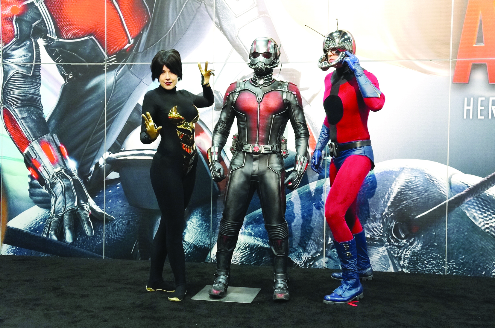 u0645u0646 u0623u062cu0648u0627u0621 u0627u0644u0639u0631u0636 