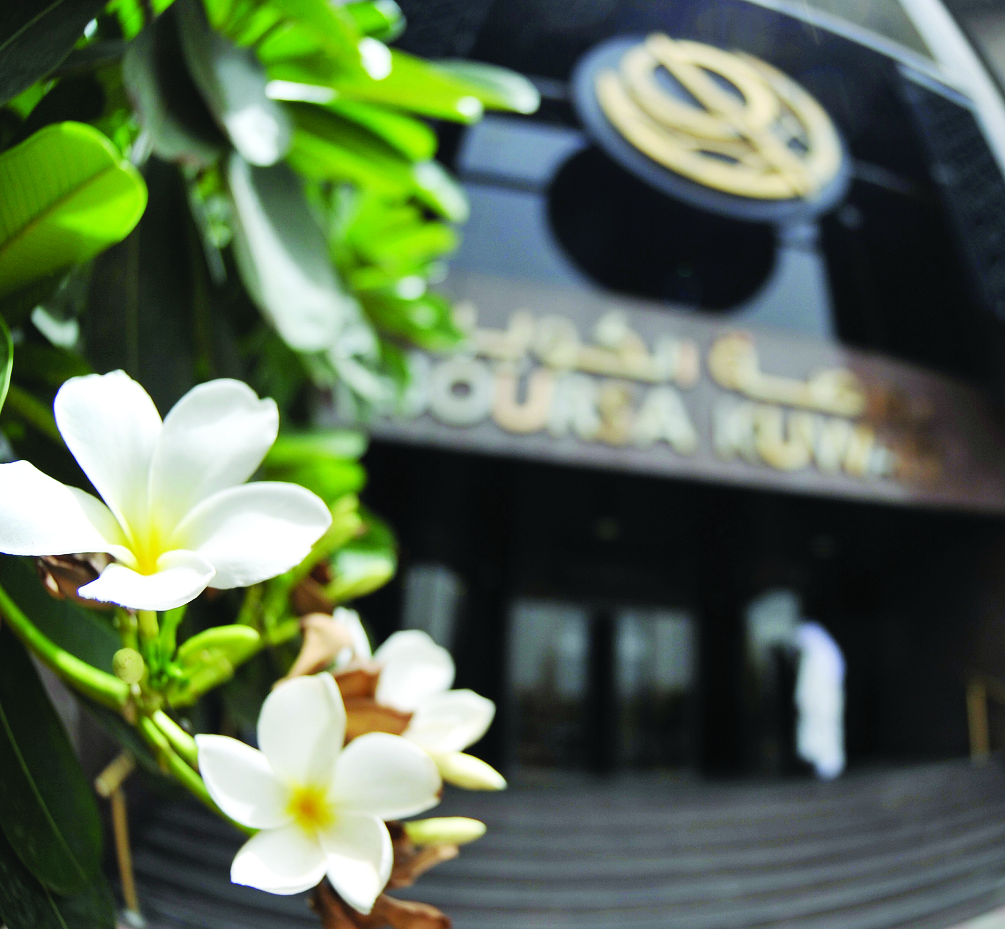 u00abu0631u0628u064au0639u00bb... u0627u0644u0628u0648u0631u0635u0629(u062au0635u0648u064au0631 u0633u0639u062f u0647u0646u062fu0627u0648u064a)