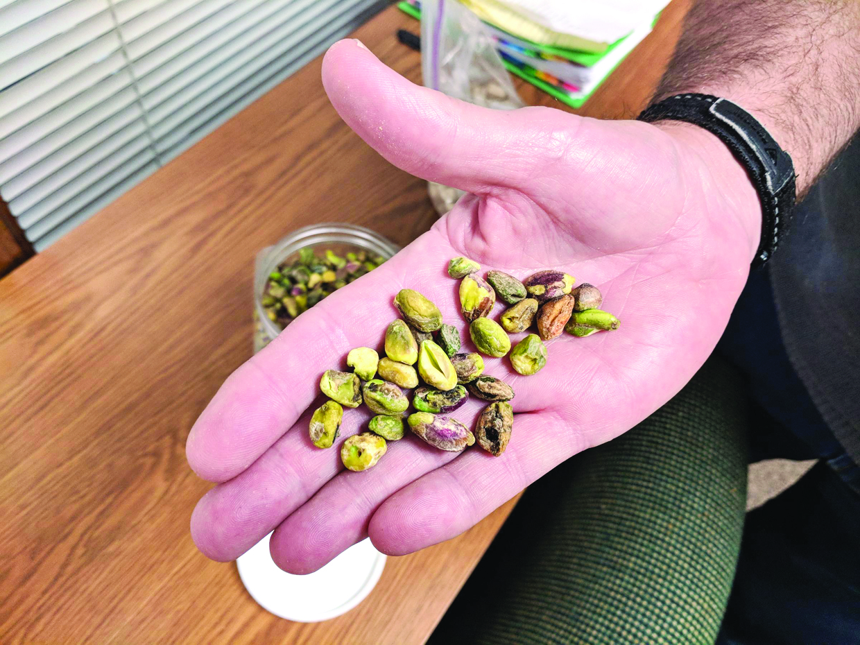 u062bu0645u0627u0631 u0641u0633u062au0642 u0645u0644u0648u062bu0629 u0628u0627u0644u0640 u00abu0623u0641u0644u0627u062au0648u0643u0633u064au0646u00bb