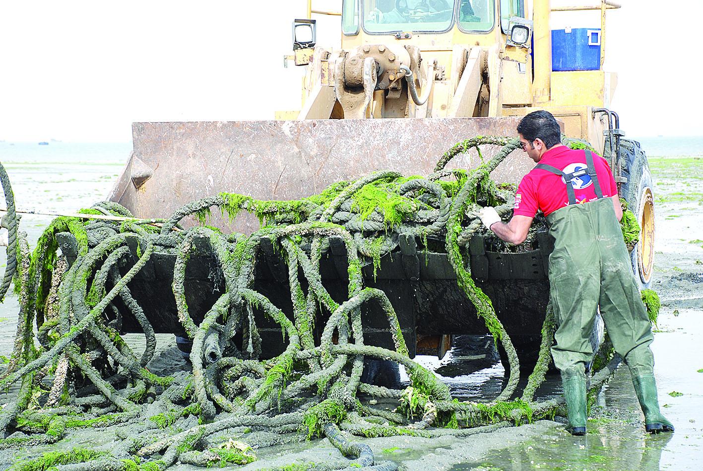  أحبال منتشلة من البحر