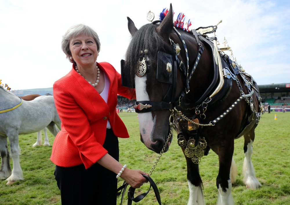 u0645u0627u064a u0641u064a u0632u064au0627u0631u0629 u0644u0648u064au0644u0632 (u0631u0648u064au062au0631u0632)