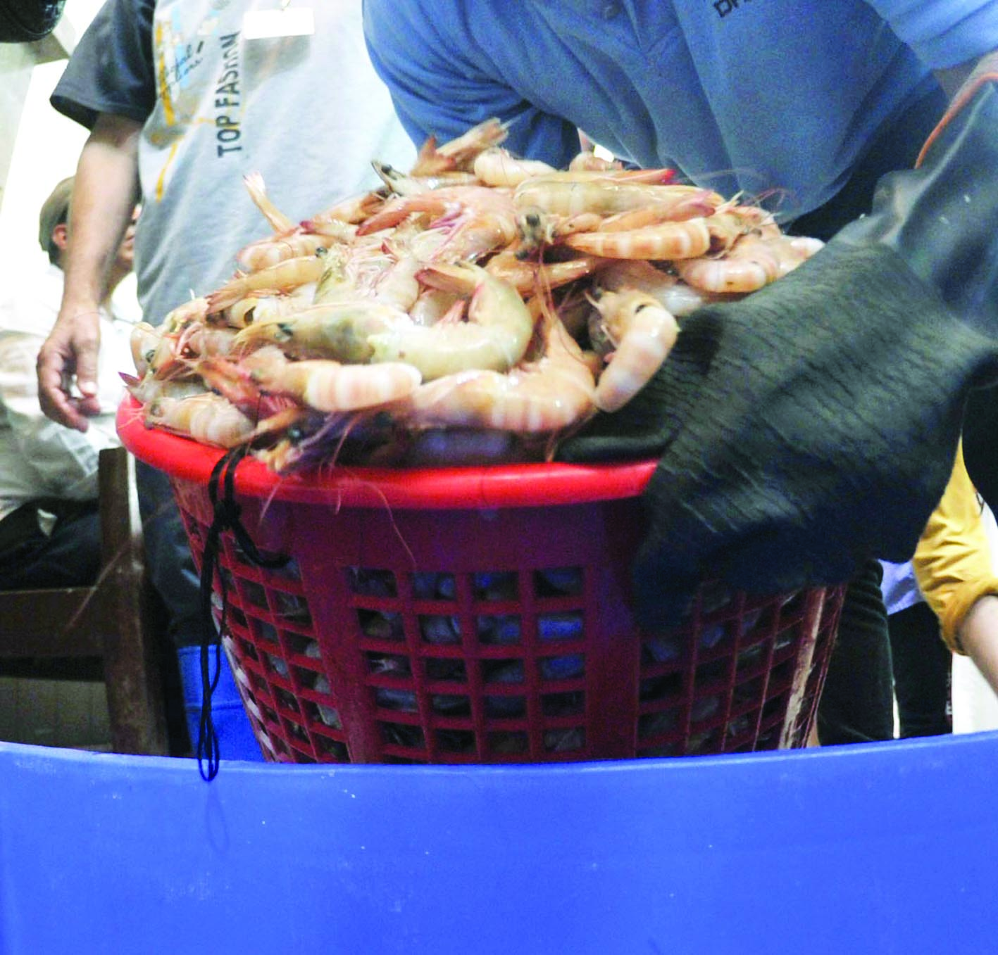 سلة الروبيان بـ90 ديناراً