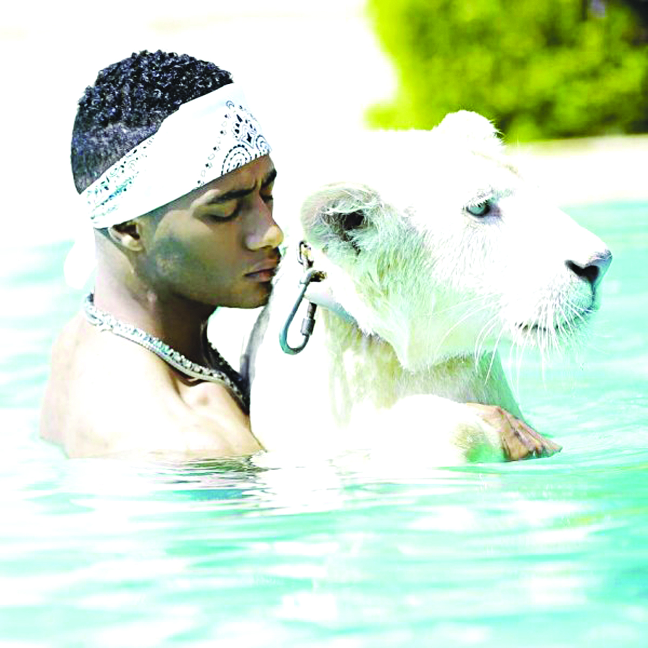 u0627u0644u0635u0648u0631u0629 u0627u0644u062au064a u0646u0634u0631u0647u0627 u0631u0645u0636u0627u0646 u0628u0631u0641u0642u0629 u0623u0633u062f u0623u0628u064au0636