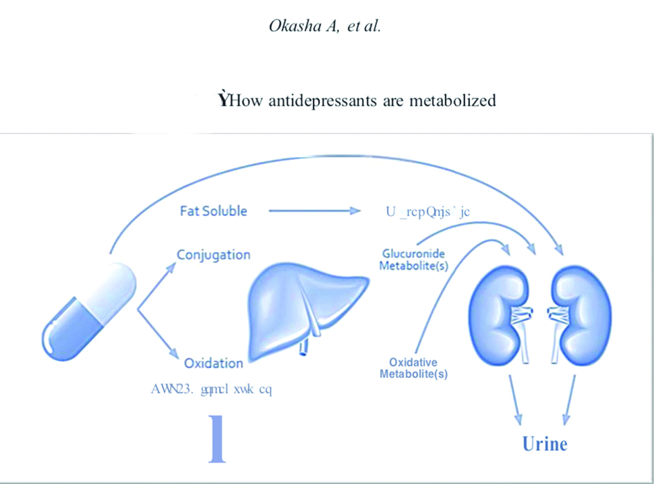 رسم توضيحي لكيفية تعامل الجسم مع الاكتئاب