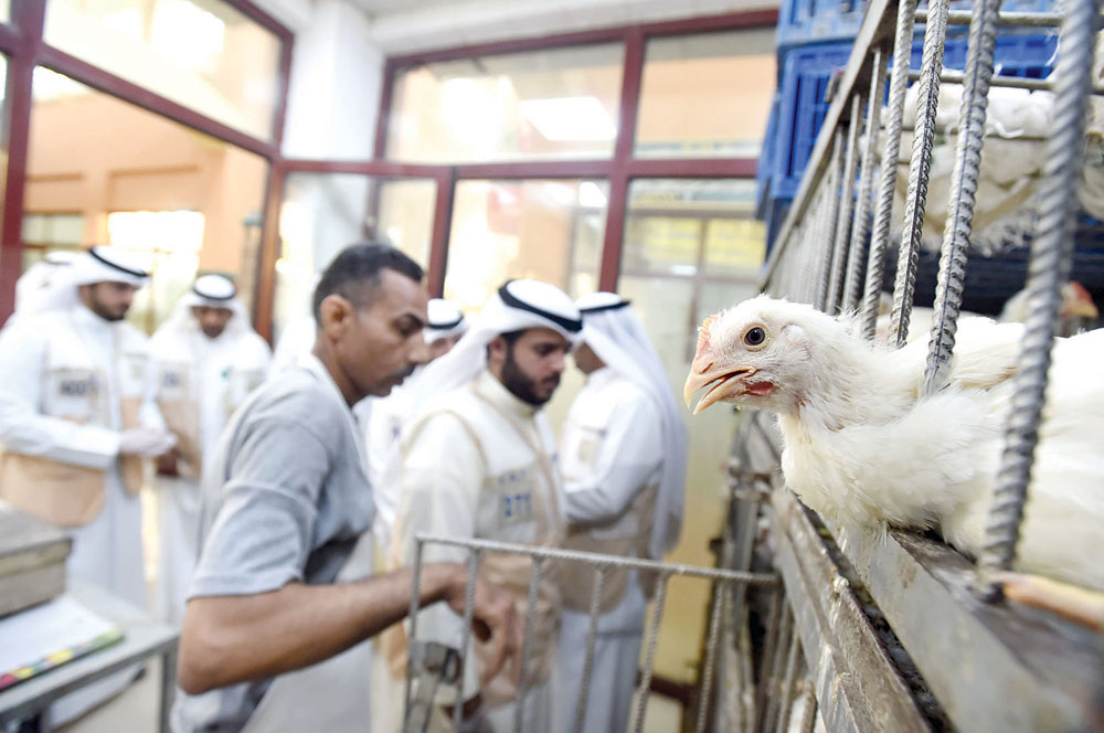 فحص أقفاص الدجاج