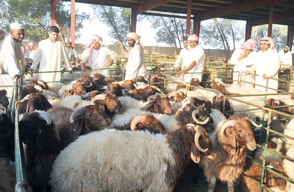 ضحايا من أحجام وأنواع مختلفة  