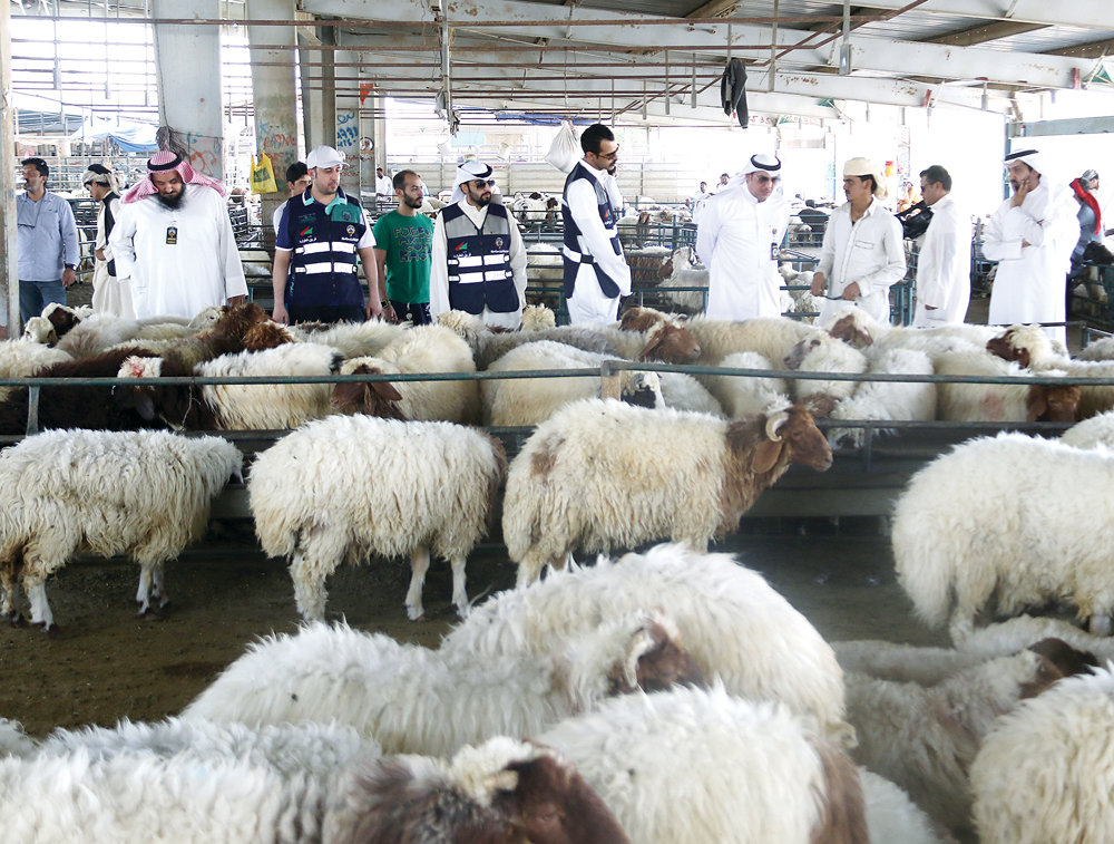 u0641u0631u064au0642 u0637u0648u0627u0631u0649u0621 u0627u0644u0631u0642u0627u0628u0629 u0627u0644u062au062cu0627u0631u064au0629 u0641u064a u0633u0648u0642 u0627u0644u0623u063au0646u0627u0645 u0628u062cu0644u064au0628 u0627u0644u0634u064au0648u062e    