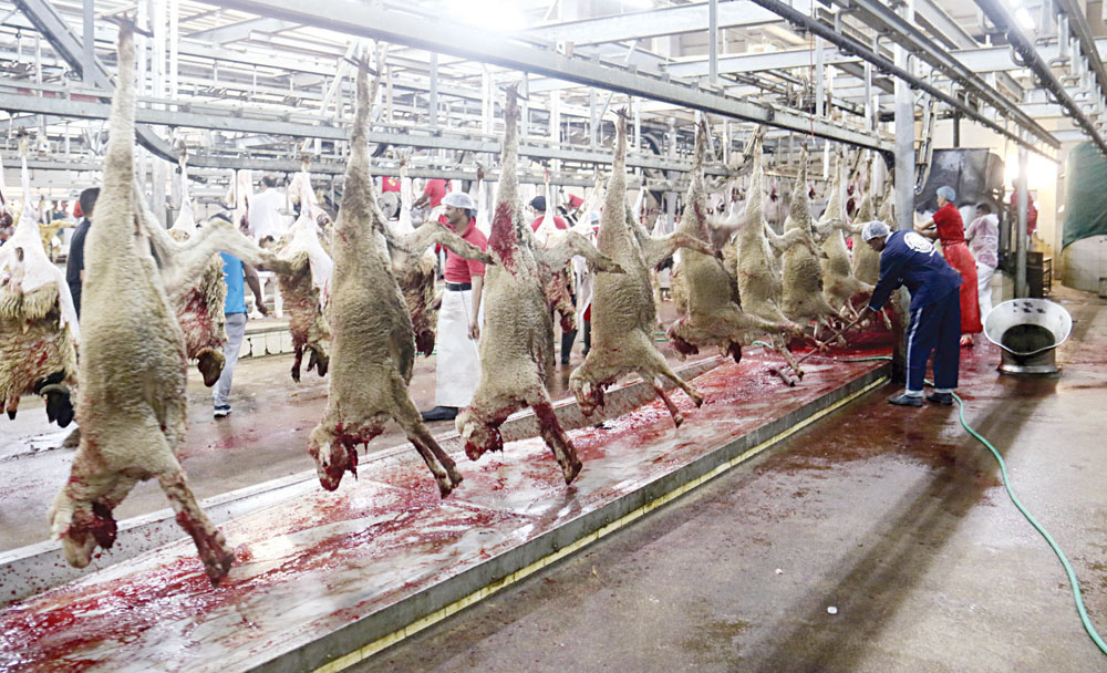 مسلخ السالمية