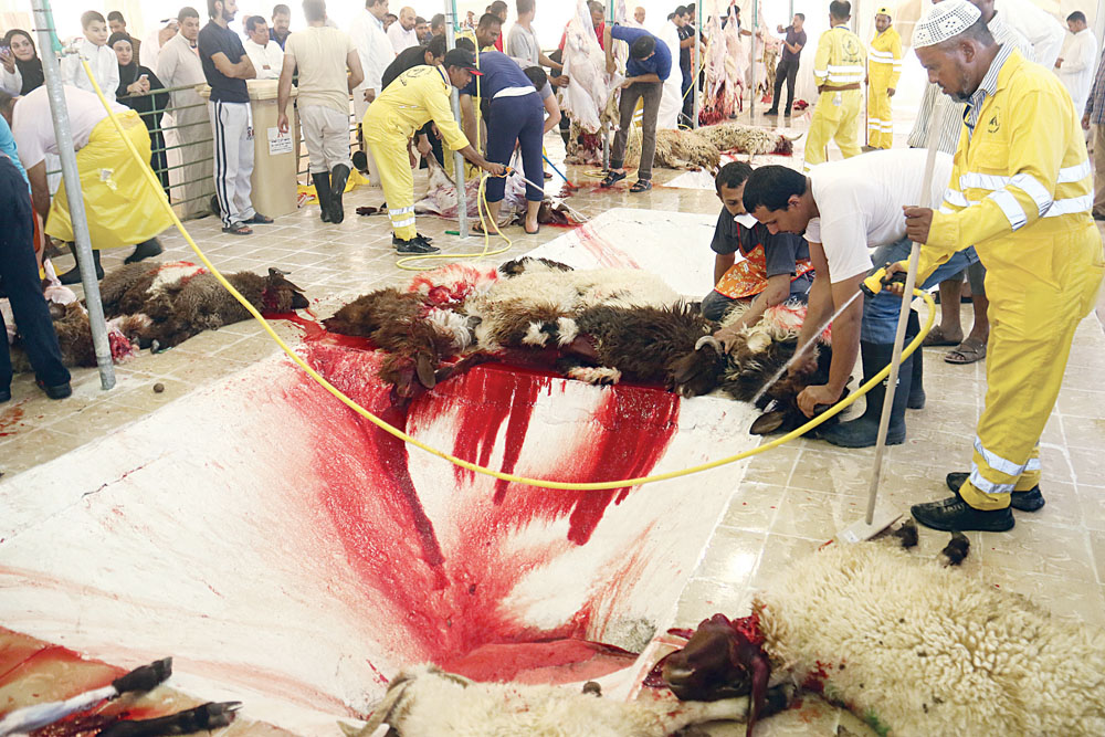 في المسلخ الموقت في سلوى