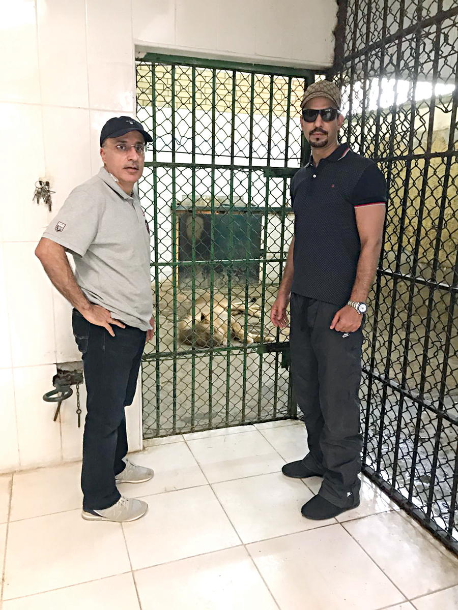 ... وداخل القفص في حديقة الحيوان