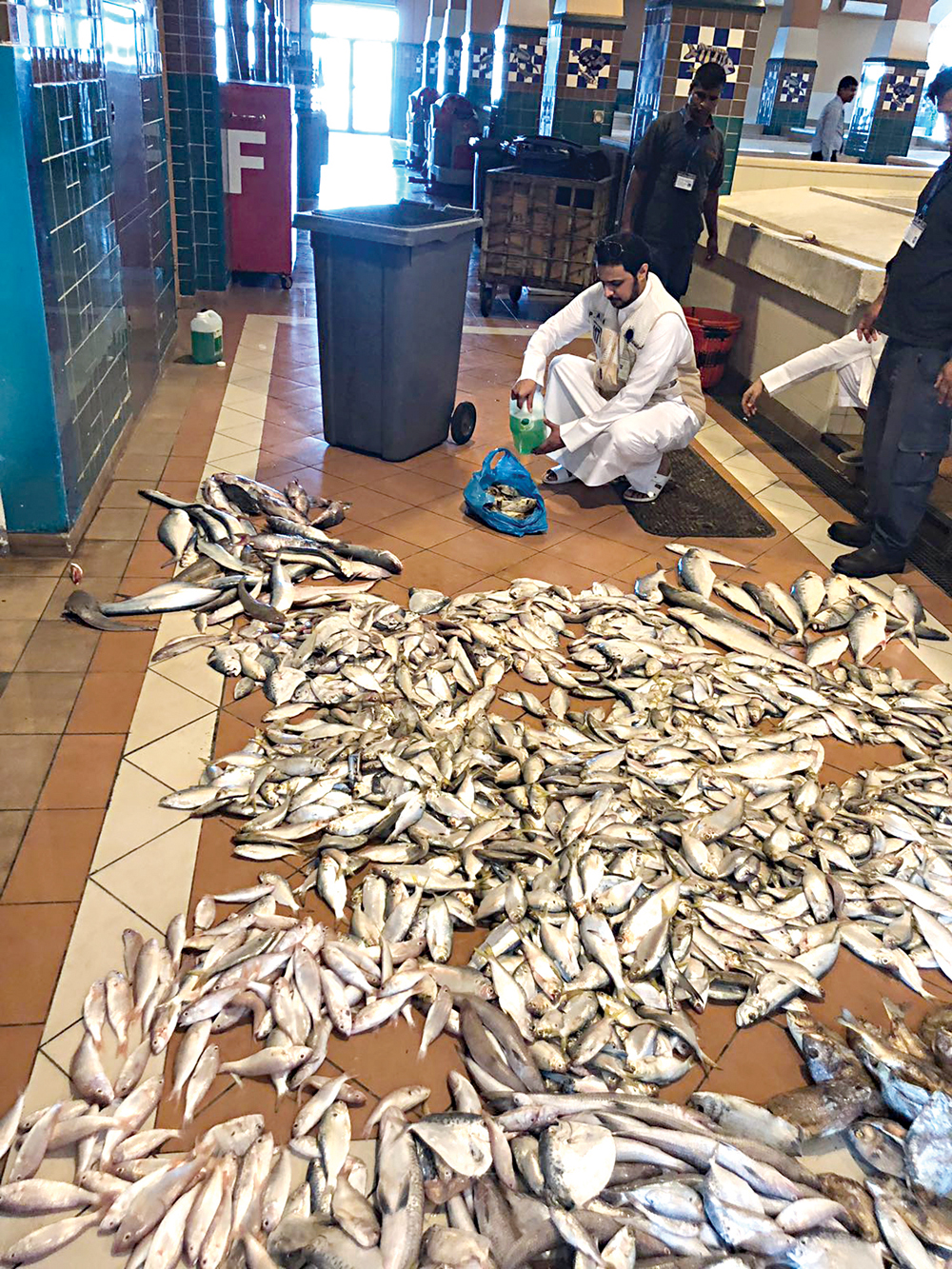 u0643u0645u064au0627u062a u0645u0646 u0627u0644u0633u0645u0643 u0627u0644u0645u062au0644u0641 u0641u064a u0627u0644u0633u0648u0642