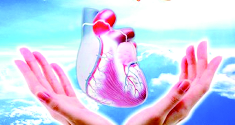 وهب الأعضاء ... أمل جديد بالحياة