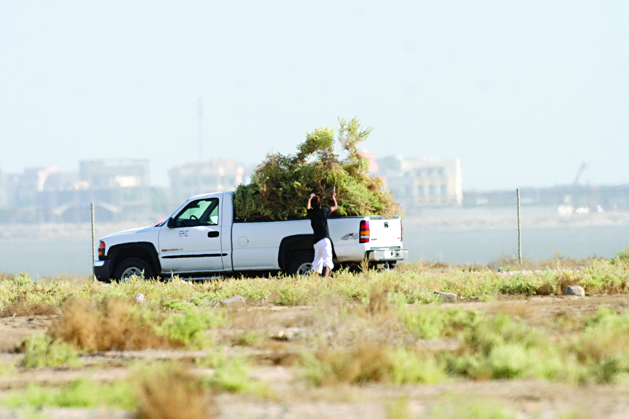 u0645u062eu0627u0644u0641 u064au062du0645u0651u0644 u0646u0628u0627u062a u0627u0644u063au0636u0631u0627u0641 u0639u0644u0649 u0648u0627u0646u064au062au0647