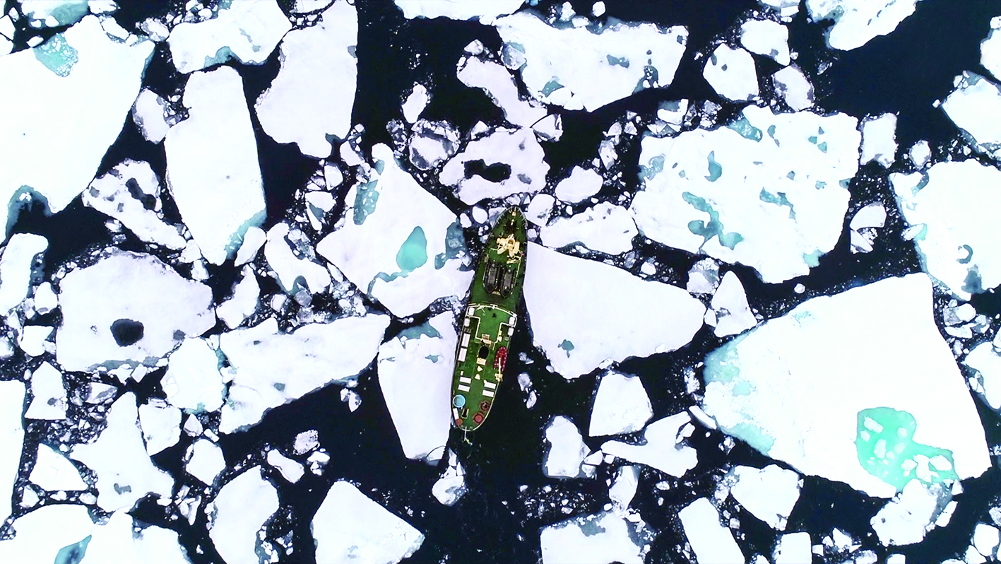 ... ويشق الطريق للوصول إلى الدب القطبي 