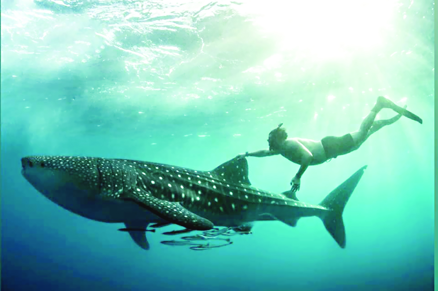 u0627u0644u062du0631u064au0631u064a u0648... u0627u0644u0642u0631u0634!