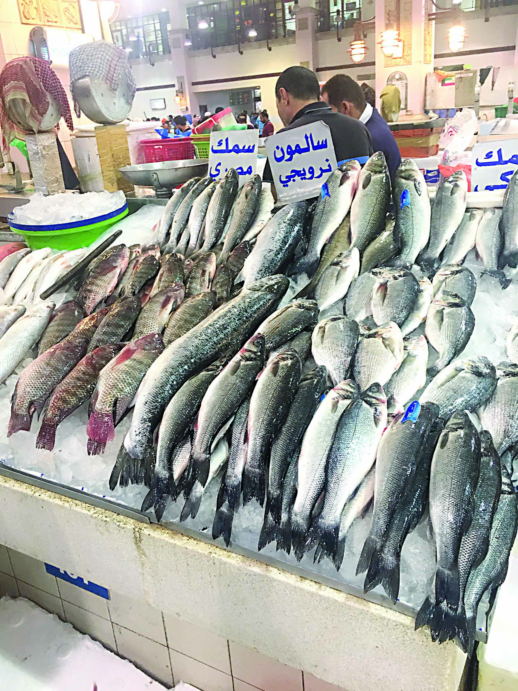 سمك تركي ونرويجي ومصري