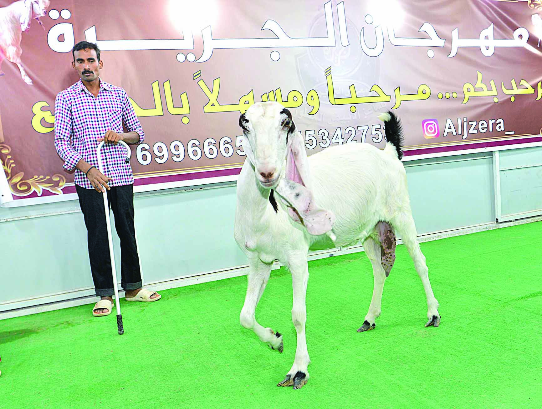 إحدى المنافسات على اللقب