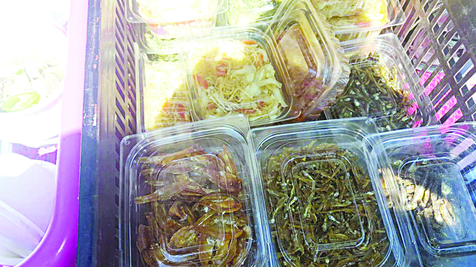 u0645u0648u0627u062f u063au0630u0627u0626u064au0629 u0645u0635u0627u062fu0631u0629