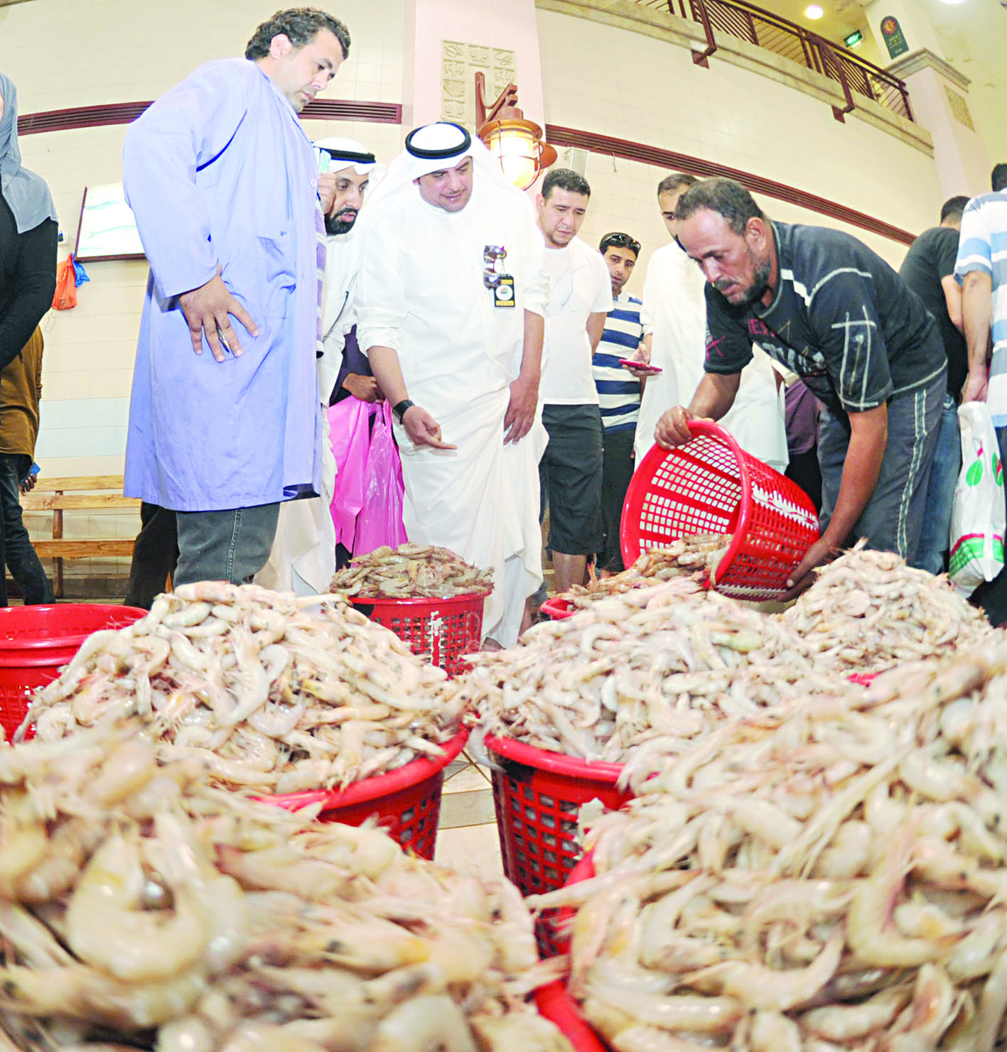 فحص أكواد الروبيان