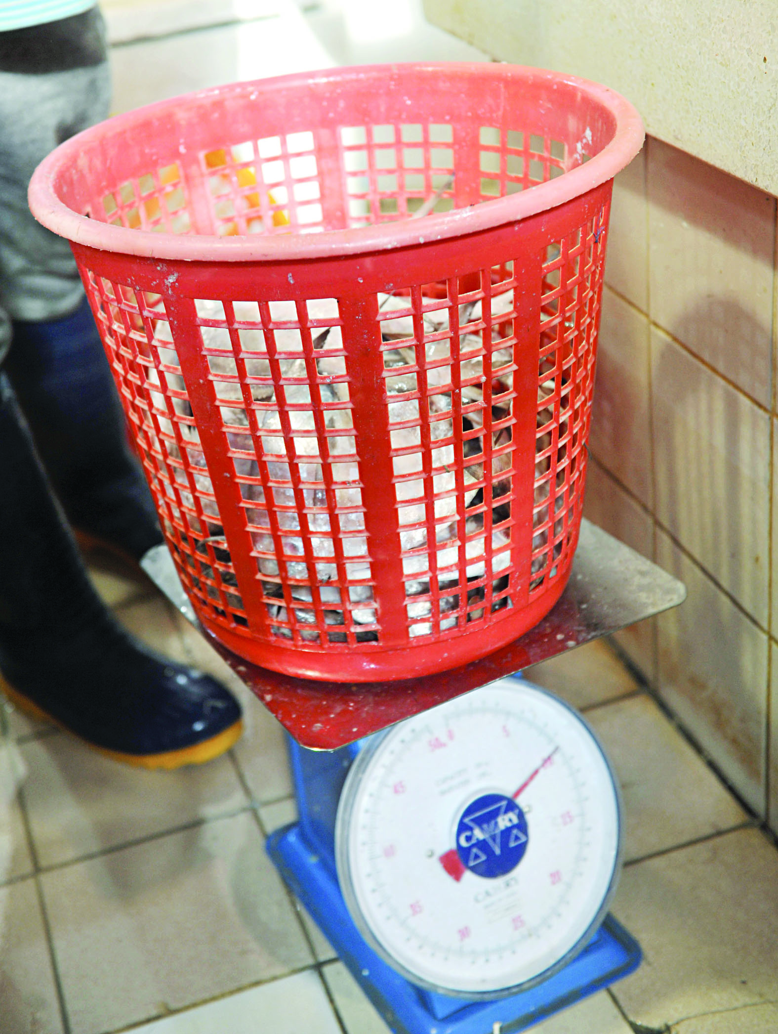 وزن كود الزبيدي