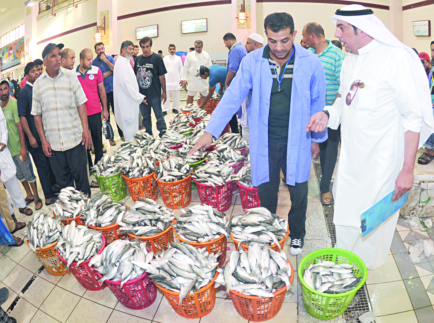 أكواد الميد