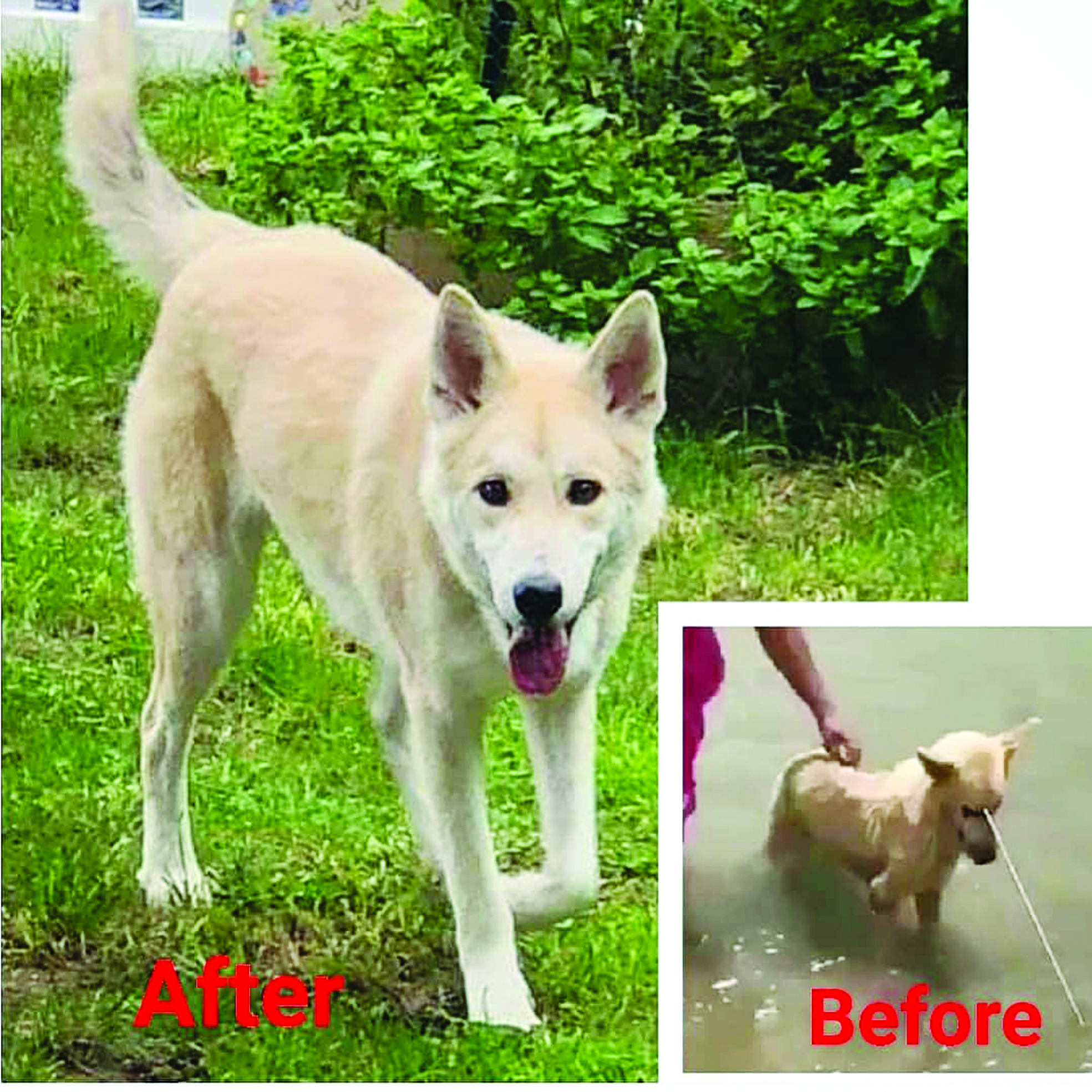 u0631u0648u0628u0646 u0642u0628u0644 u0627u0644u0633u0647u0627u0645 u0648u0628u0639u062fu0647u0627 