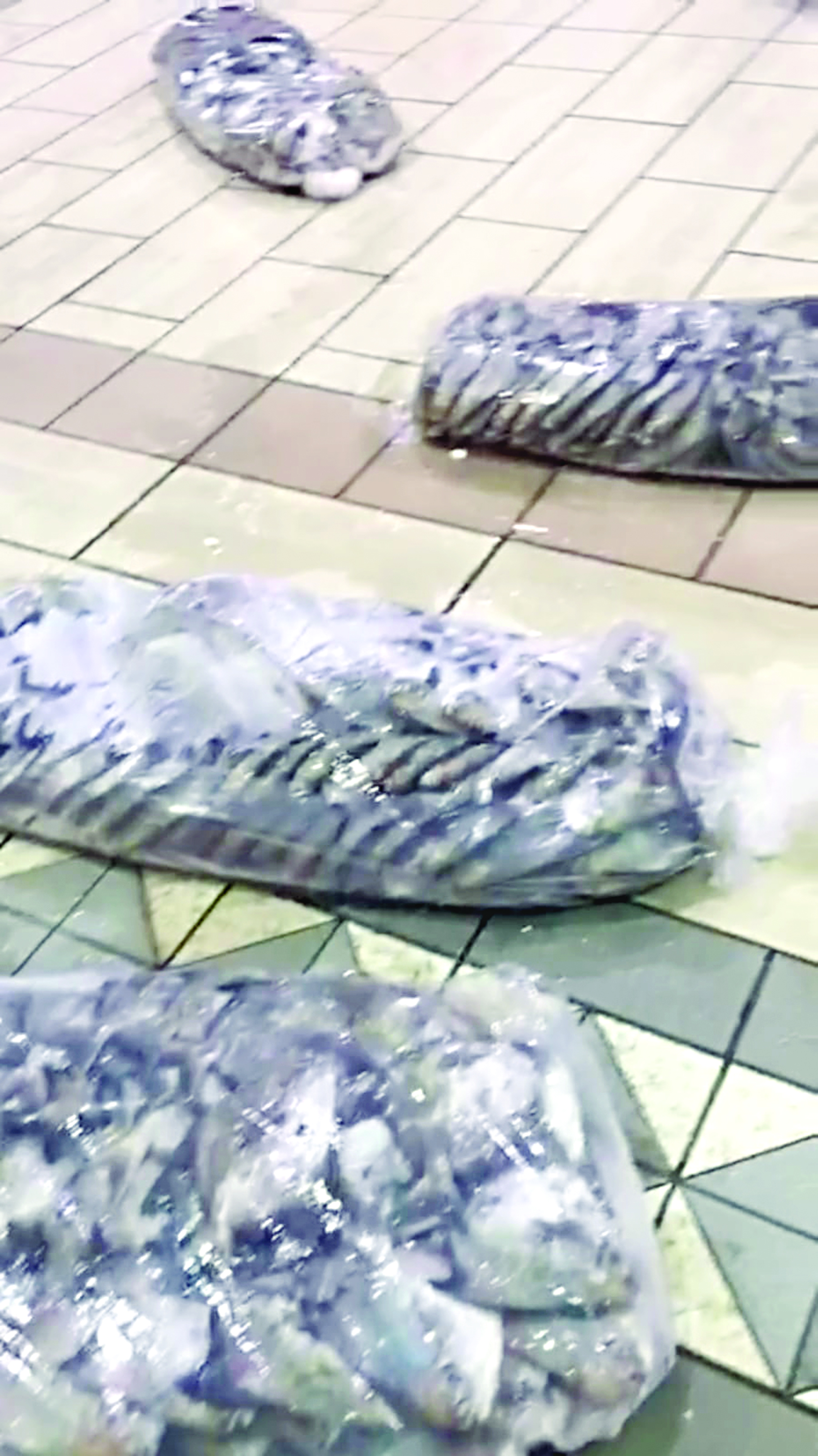 ... وبعد تغليفه قبل البيع 