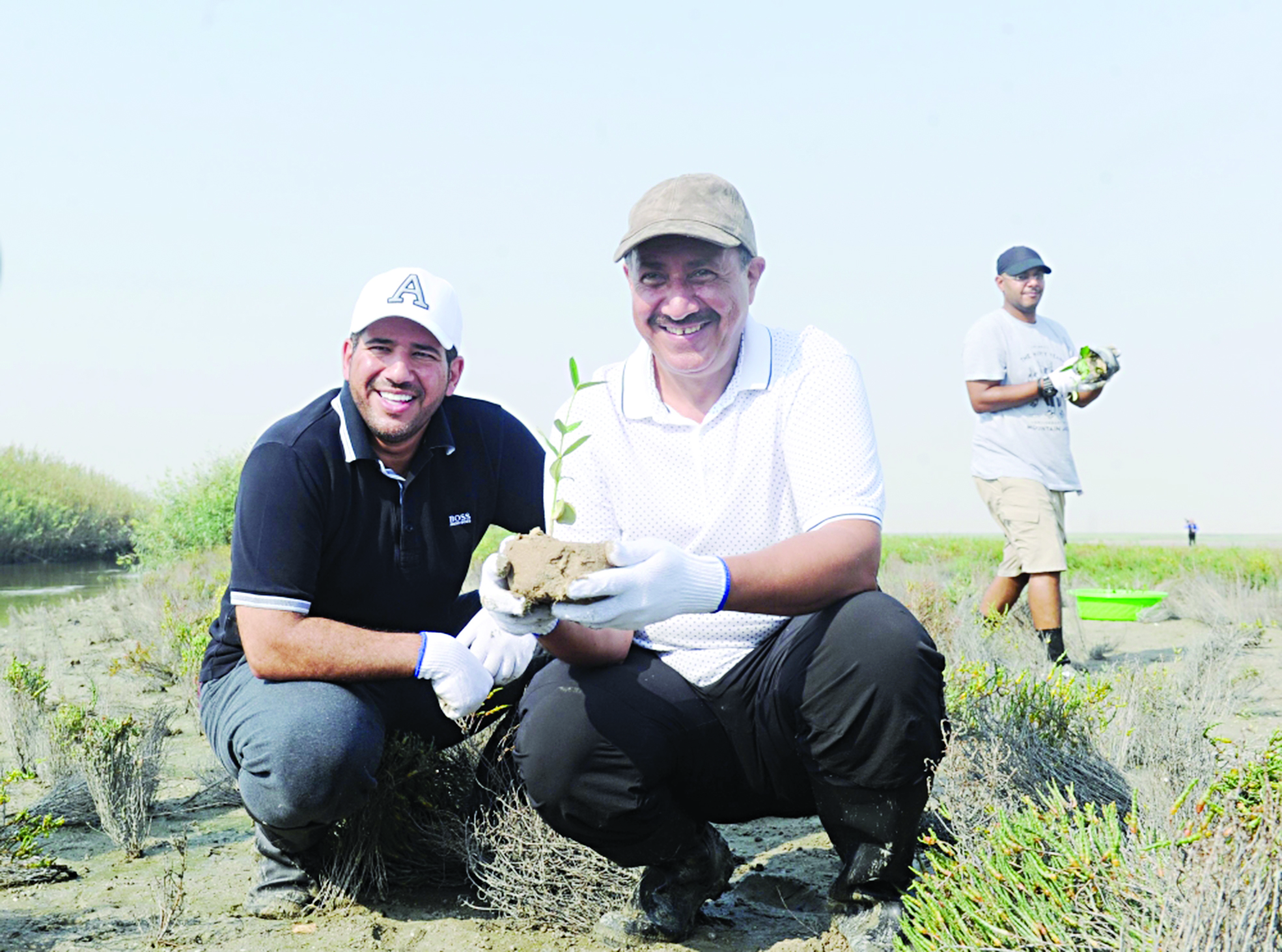 u0627u0644u0631u0648u0645u064a u0648u0627u0644u0623u062du0645u062f u064au0632u0631u0639u0627u0646 u0646u0628u062au0629 u0627u0644u0642u0631u0645 