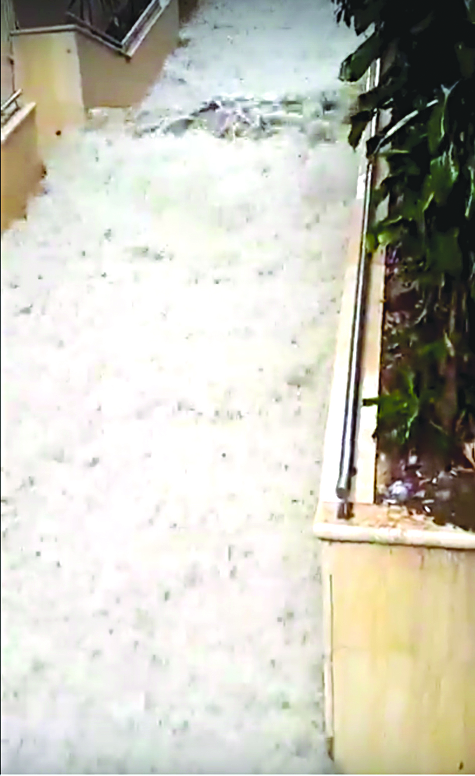  درج الجميزة تحوّل نهراً