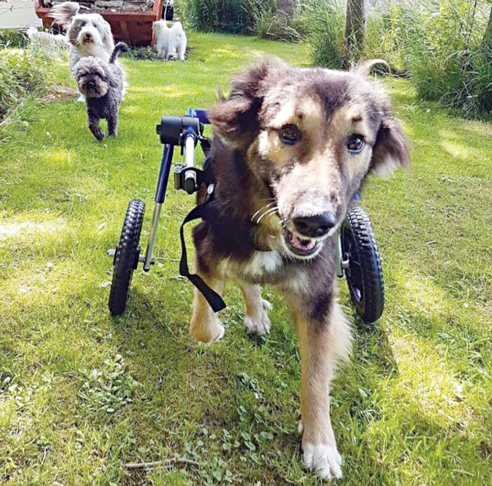 u0645u0627u0643u0633 u0635u0627u0631 u0641u064a u0648u0636u0639 u0622u062eu0631 u0628u0639u062f u0627u0644u062au0628u0646u064a 