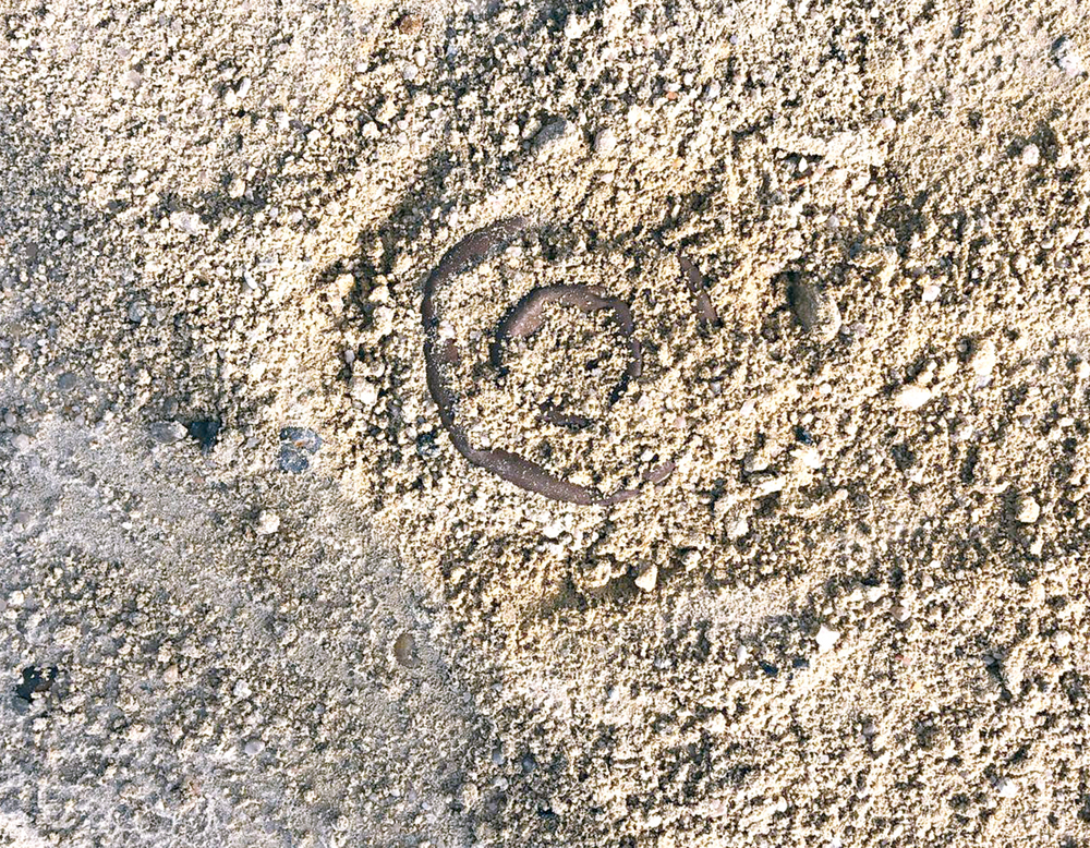 تعليم موقع أحد الأجسام