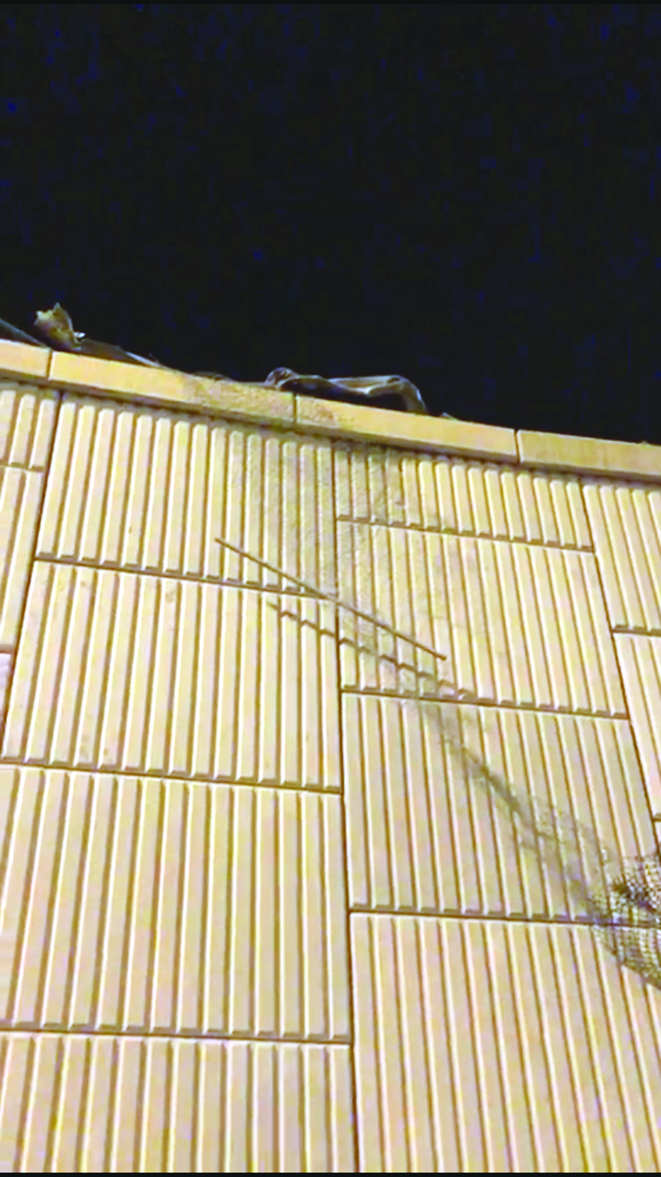 شبك الحديد... أعلى الجسر