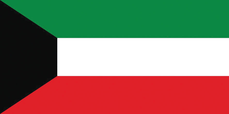 العلم الوطني بموجب قانون 26 لعام 1961 