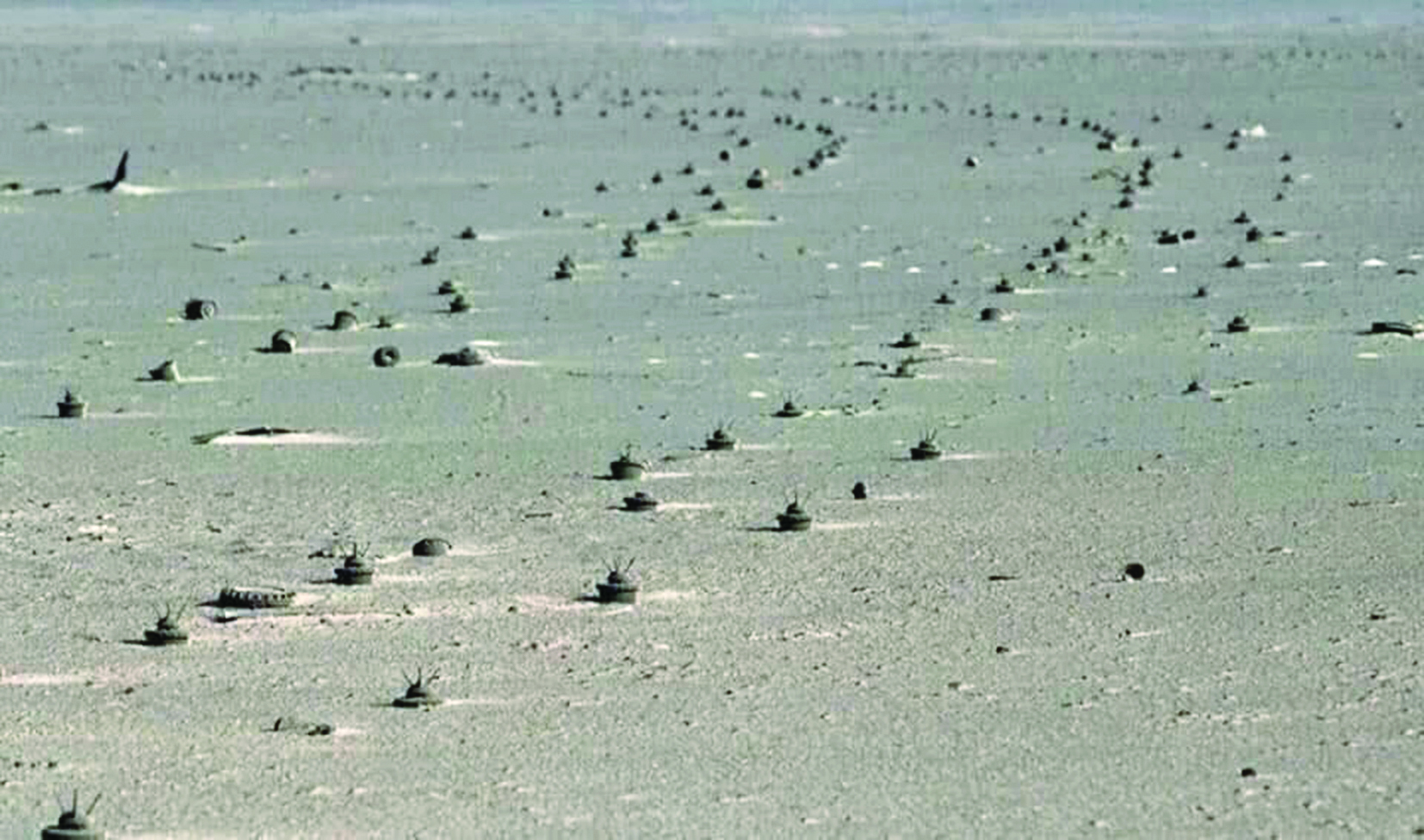 u0635u0648u0631 u0645u062au062fu0627u0648u0644u0629 u0639u0646 u0627u0644u0623u0644u063au0627u0645