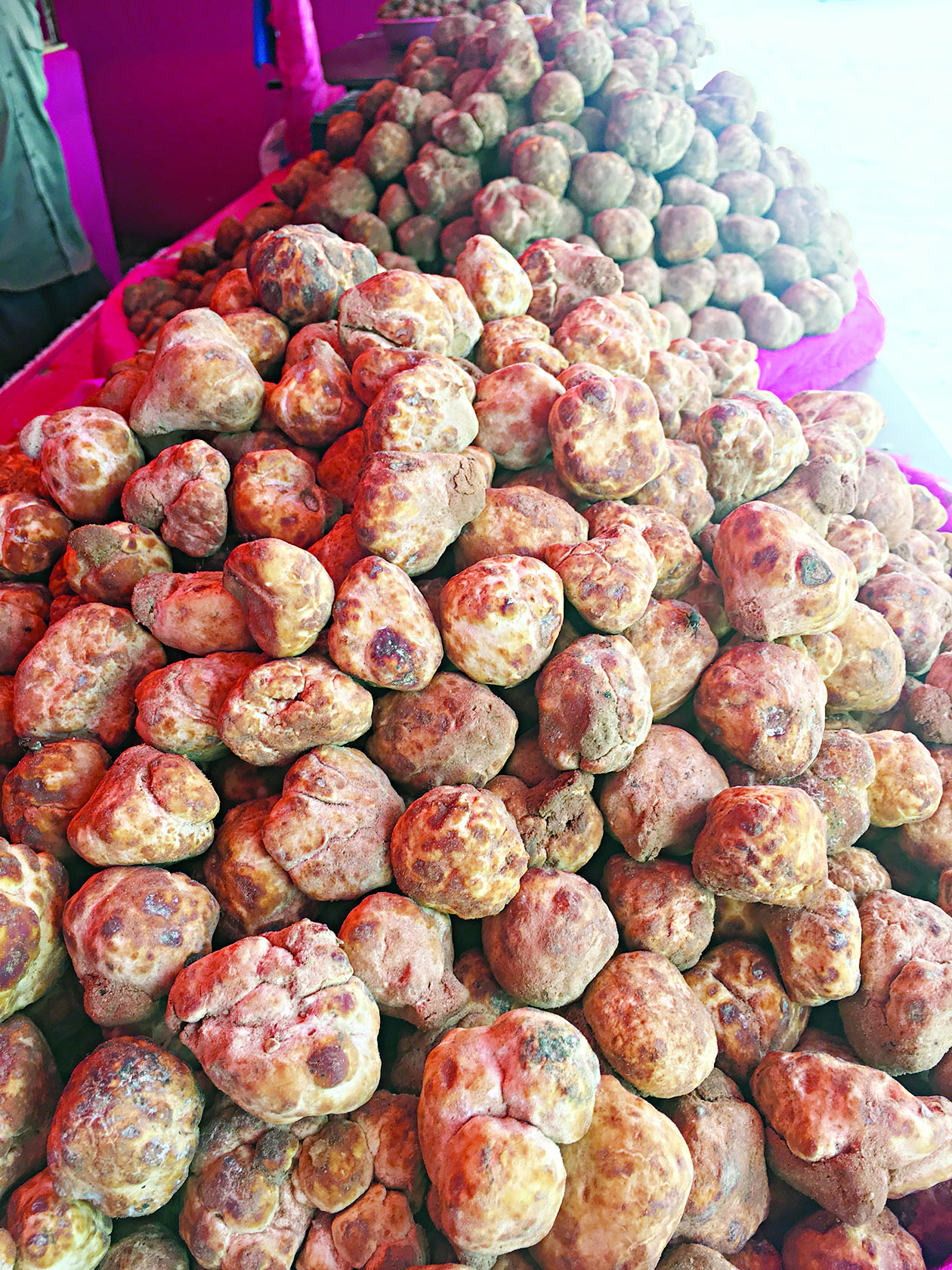 u0627u0644u0641u0642u0639 u0627u0644u0623u0641u0631u064au0642u064a u064au0645u0644u0623 u0627u0644u0623u0633u0648u0627u0642