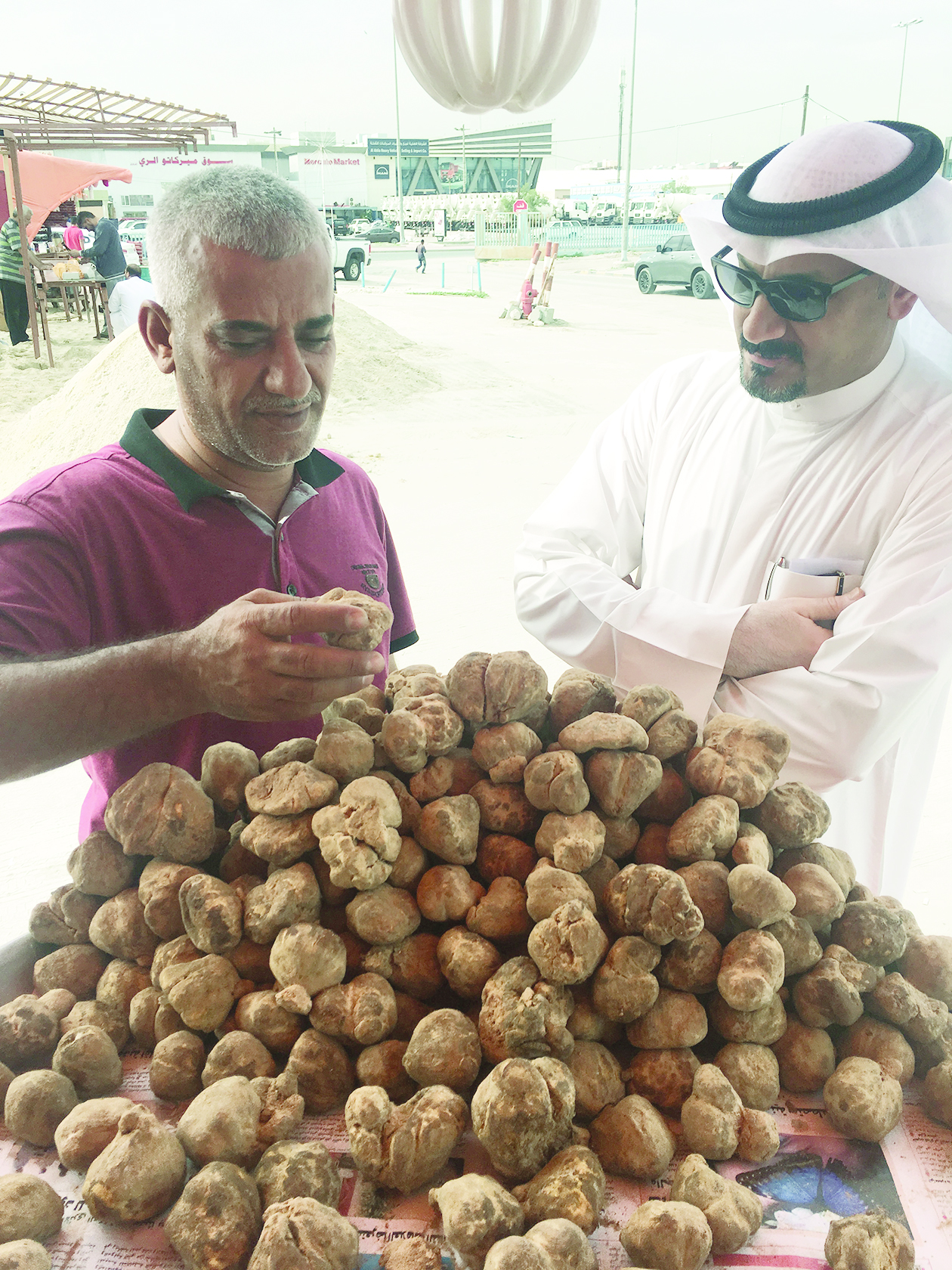 علي رحيم يشرح للزميل ناصر الفرحان أنواع الفقع