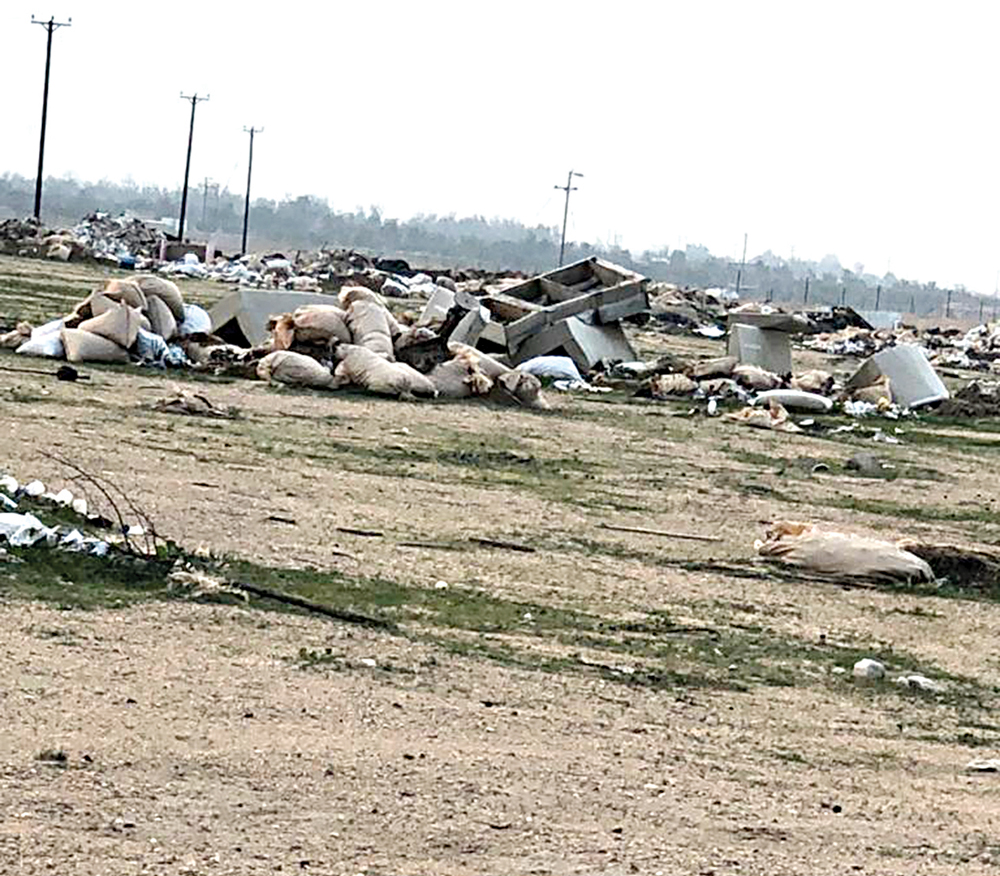 u0642u0627u0630u0648u0631u0627u062a u0648u062du064au0648u0627u0646u0627u062a u0646u0627u0641u0642u0629