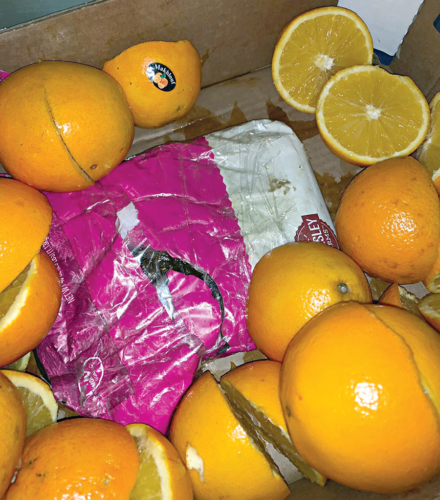 u0627u0644u0628u0631u062au0642u0627u0644 u0627u0644u0645u0644u0651u063au0645 u0628u0627u0644u0645u062eu062fu0631u0627u062a 