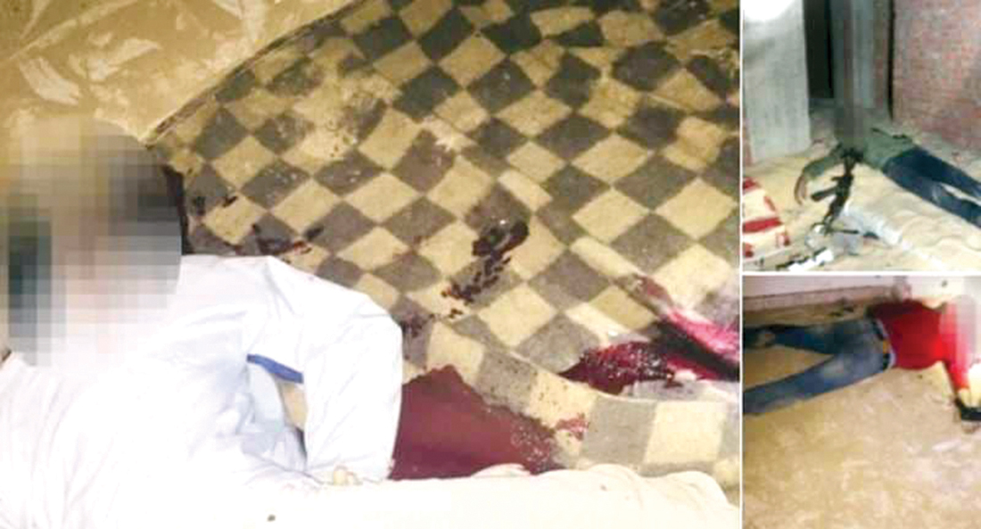 u0639u0646u0627u0635u0631 u0625u0631u0647u0627u0628u064au0629 u062au0645u062a u062au0635u0641u064au062au0647u0627 u0641u064a u0627u0644u062cu064au0632u0629 u0648u0634u0645u0627u0644 u0633u064au0646u0627u0621 