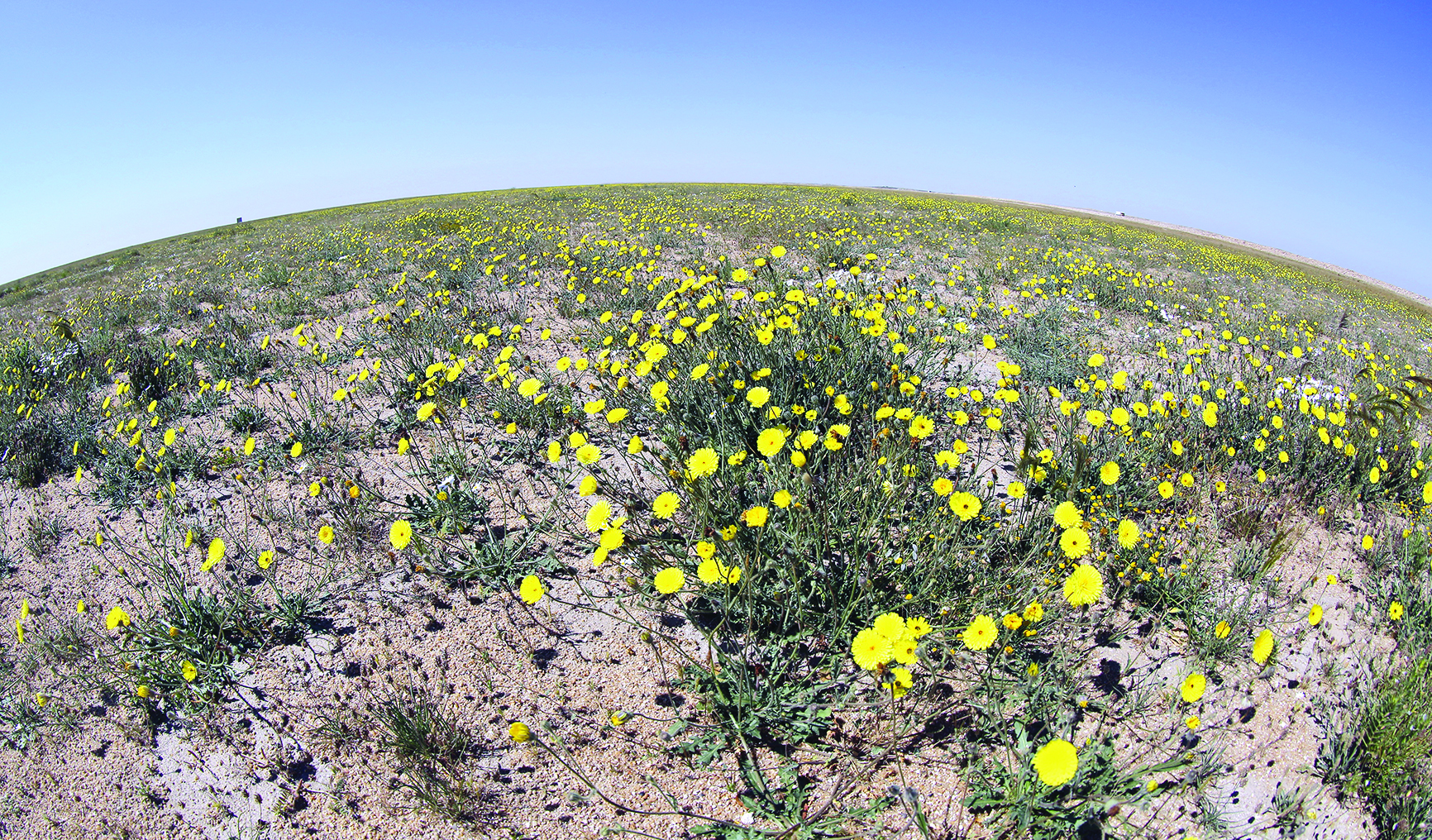 u0632u064au0627u062fu0629 u0645u0633u0627u062du0629 u0627u0644u0645u062du0645u064au0627u062a u0627u0644u0637u0628u064au0639u064au0629 u0647u062fu0641 u0627u0633u062au0631u0627u062au064au062cu064a u0644u0647u064au0626u0629 u0627u0644u0628u064au0626u0629