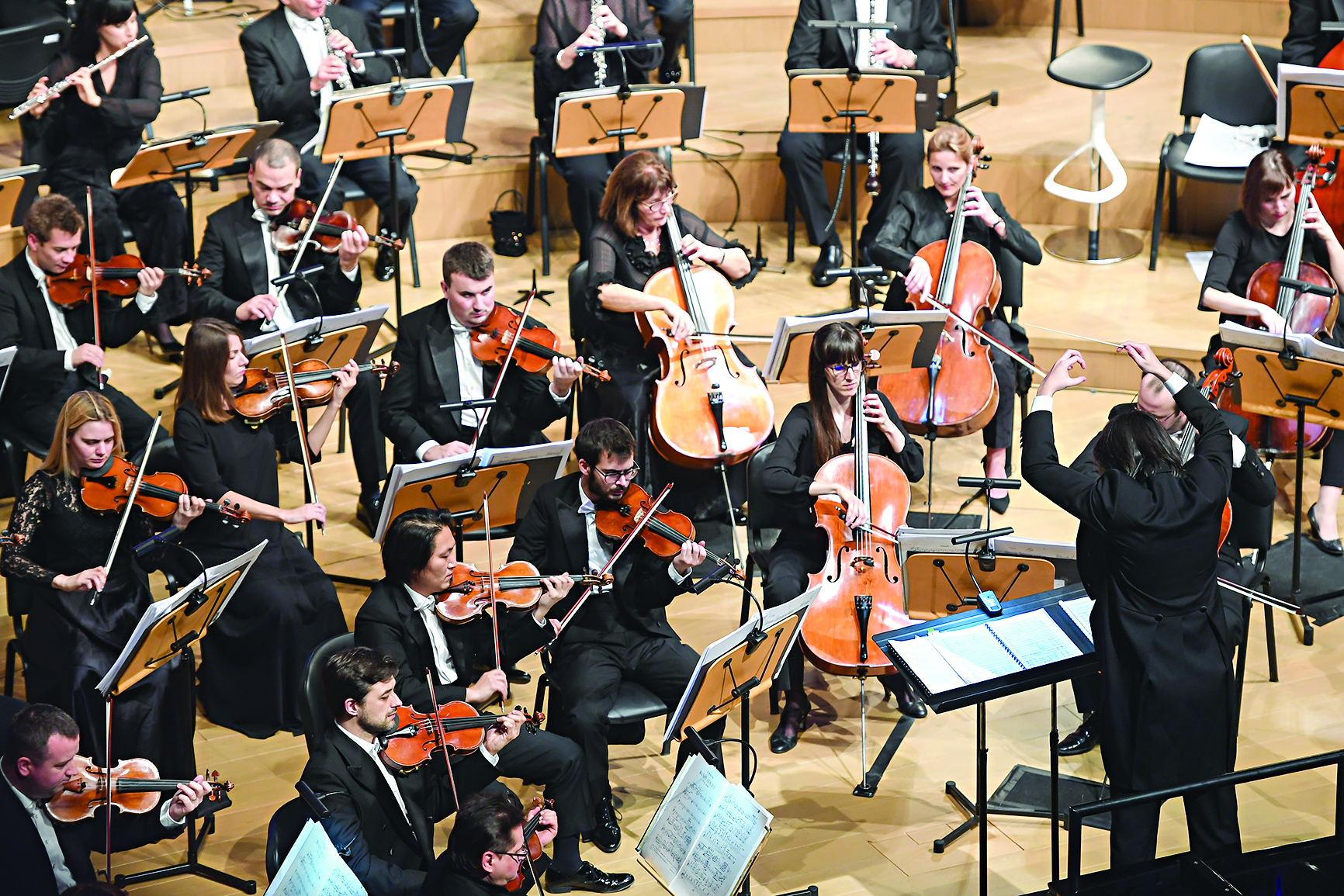 عازفو الكمان والتشيللو